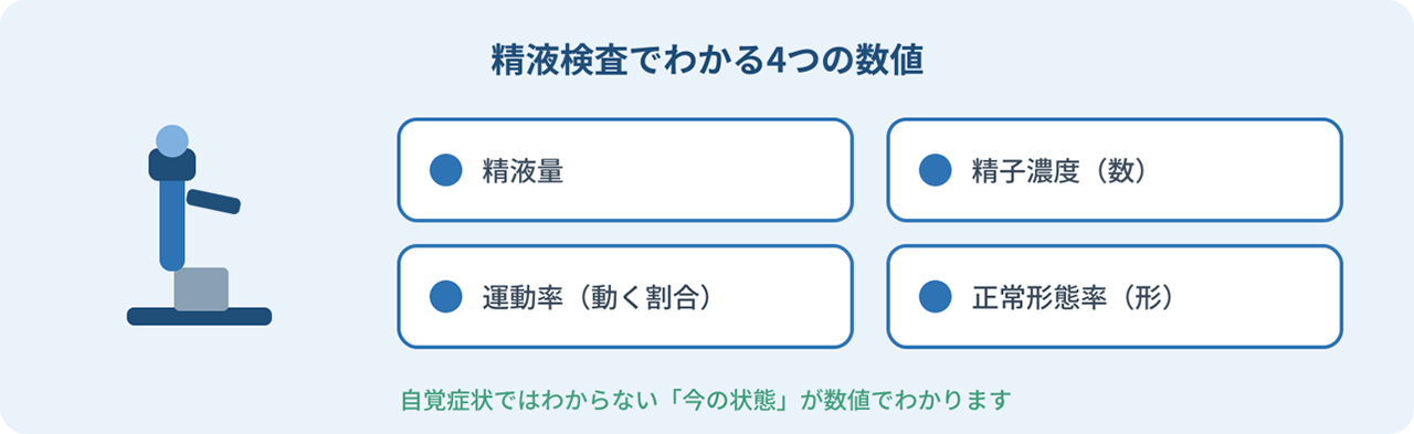精液検査でわかる４つの数値